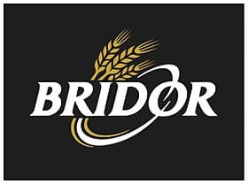 280px Logo Bridor