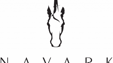 logo navark1